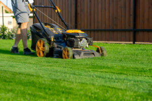 [getpaidstock.com] 687abaa70becd